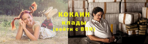 сатива Абинск