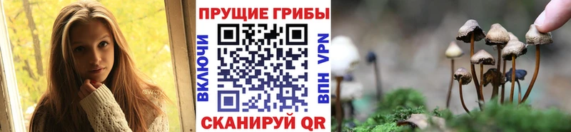 Галлюциногенные грибы прущие грибы  Чердынь 
